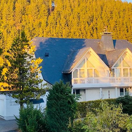 Landhaus Muehlenberg Willingen  Extérieur photo