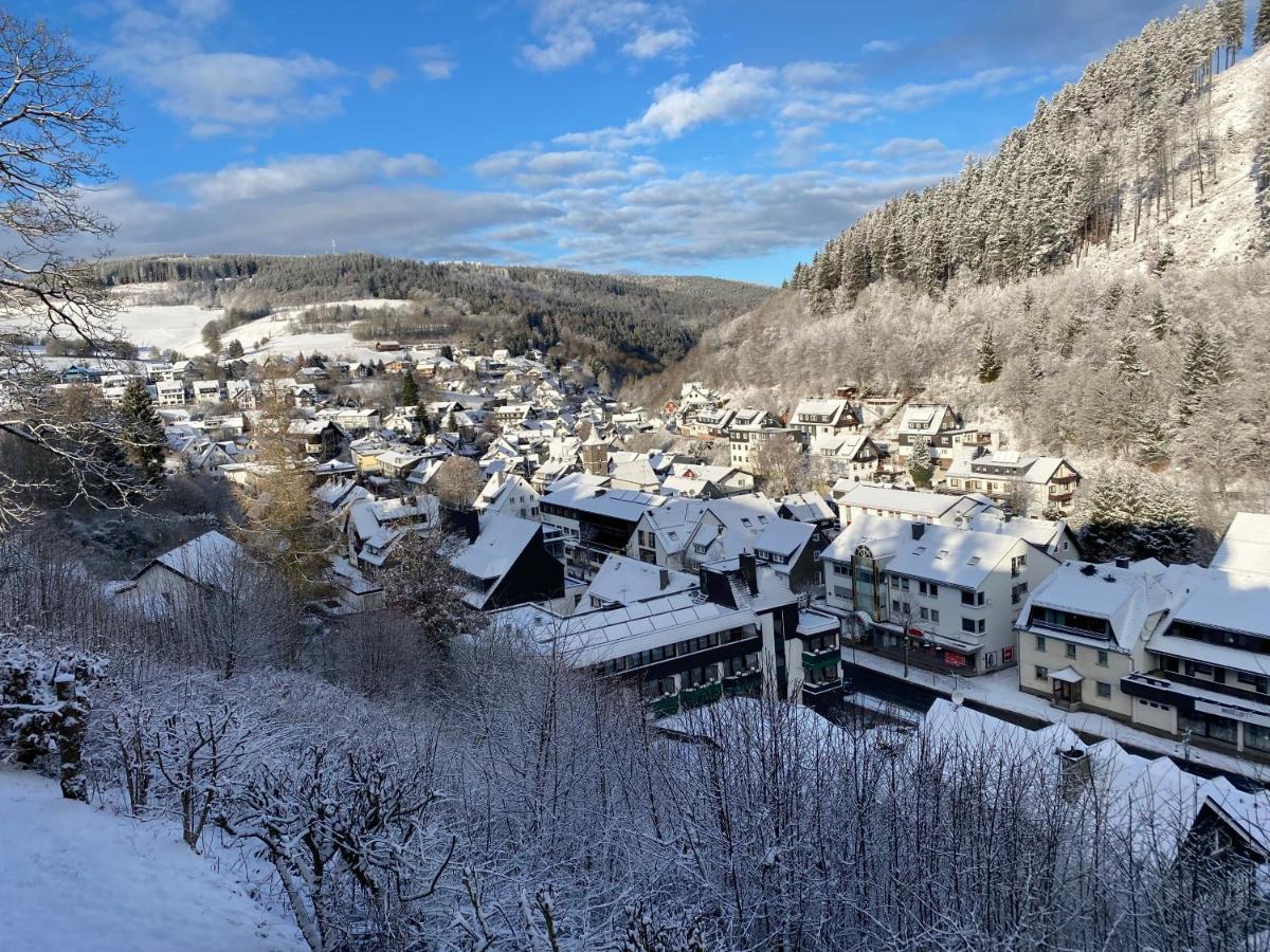 Landhaus Muehlenberg Willingen  Extérieur photo